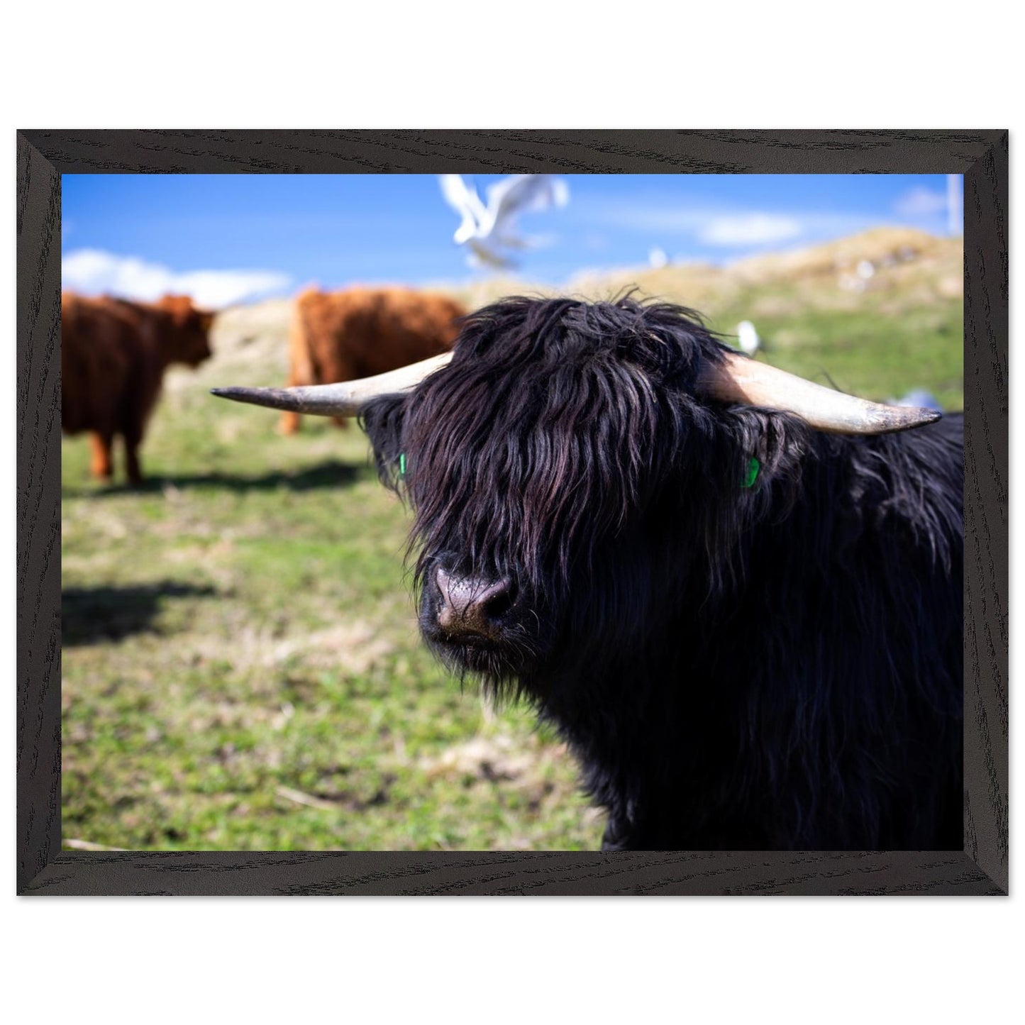 7cd0c991-1e93-49bc-83e6-9e890ddffd6a