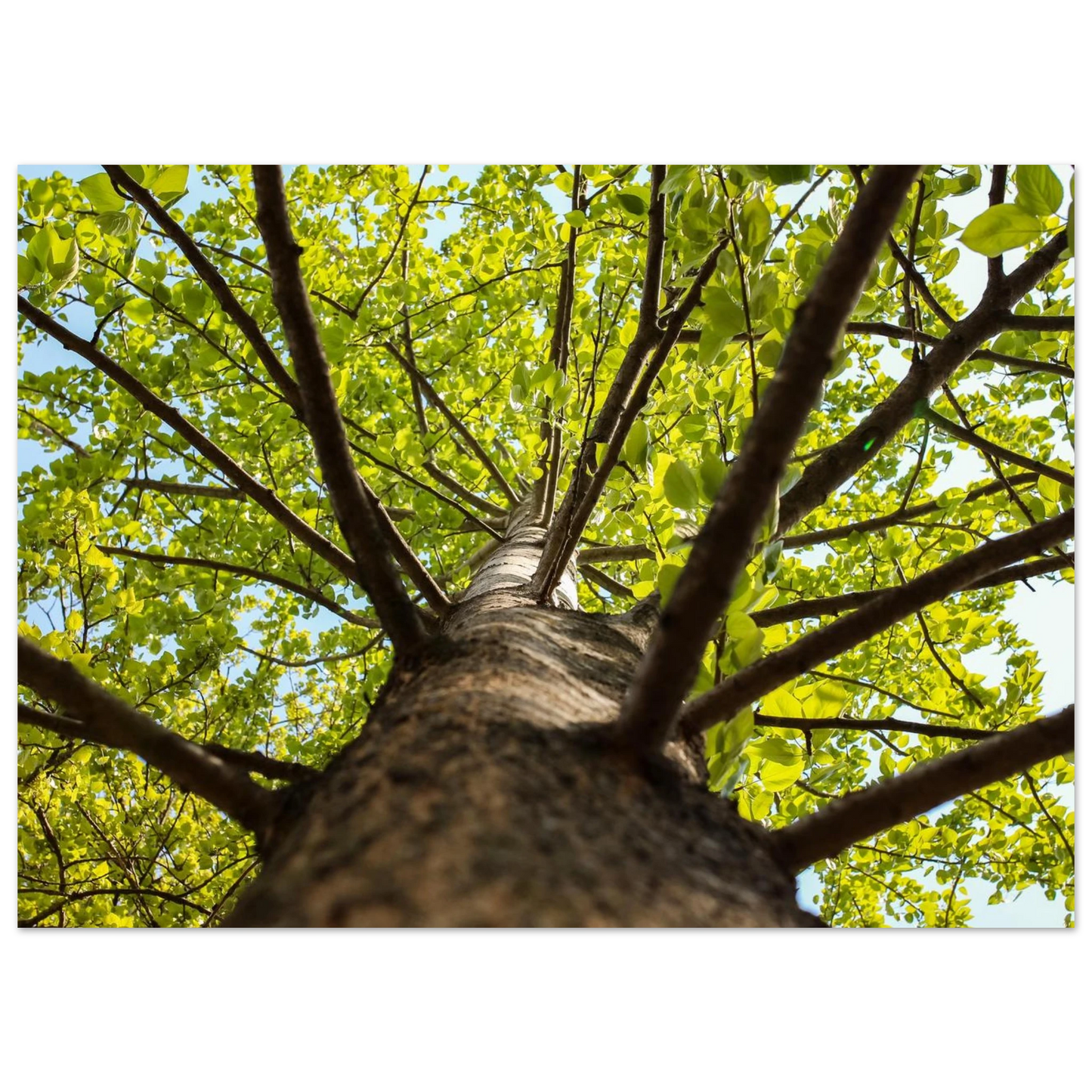 7d0dc774-8435-4742-880b-8696a388ddec