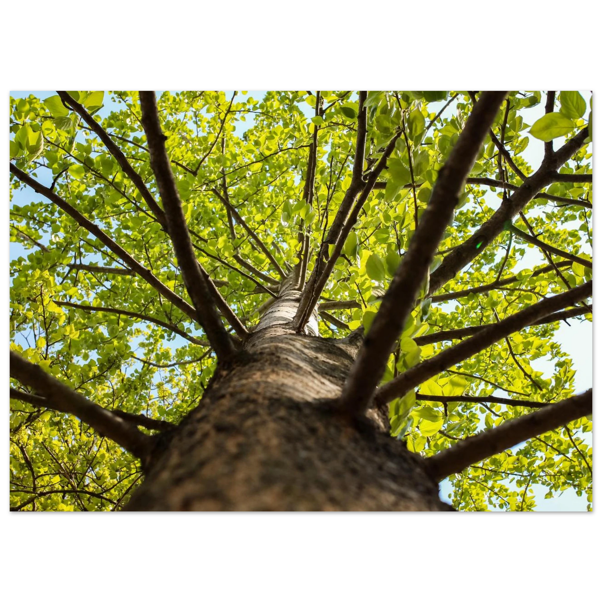 7d0dc774-8435-4742-880b-8696a388ddec