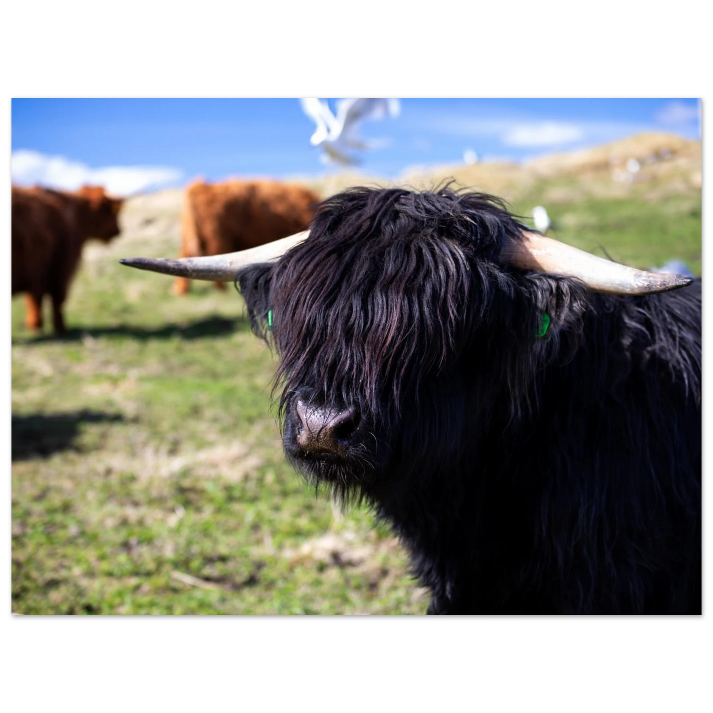 7fe8845a-bae7-4b93-a634-59ed58f7f5a3