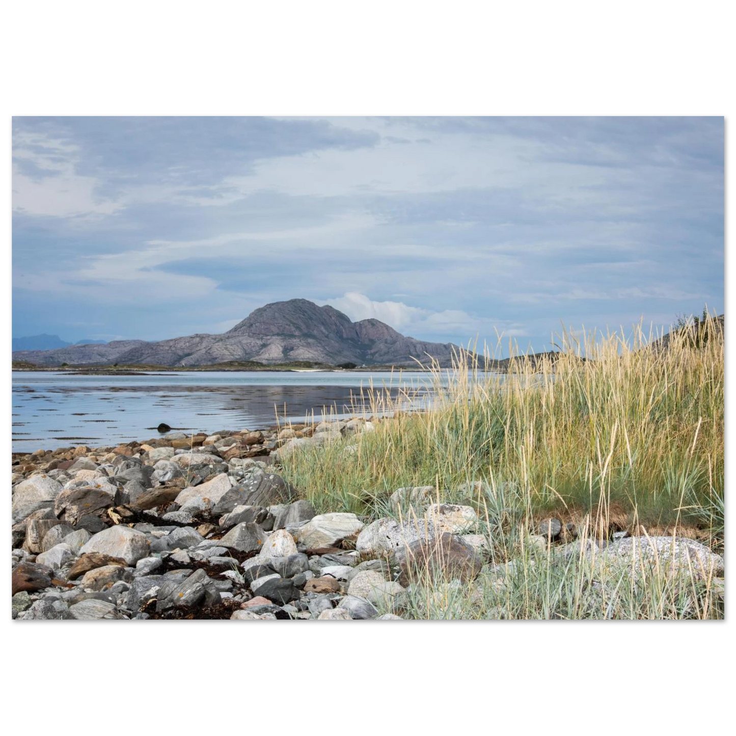 806b361c-e6ca-4f65-b3c8-c9db26387b24