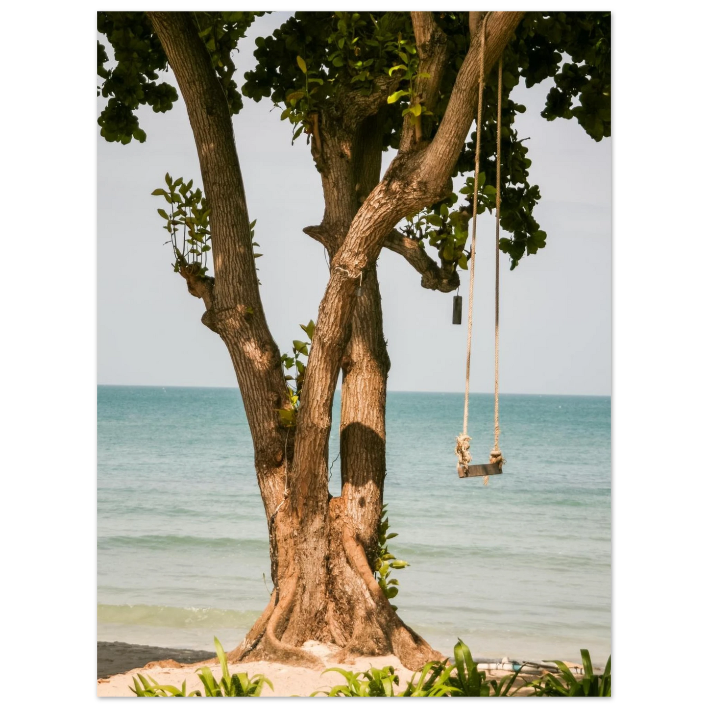 8475dc37-2ca9-4ca2-b85b-1328a4bbef5e