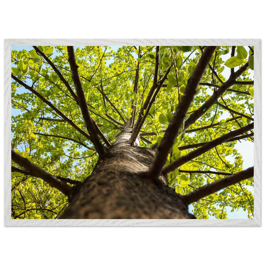 87f6a22b-6cd9-4e85-95ca-7483860f34a3