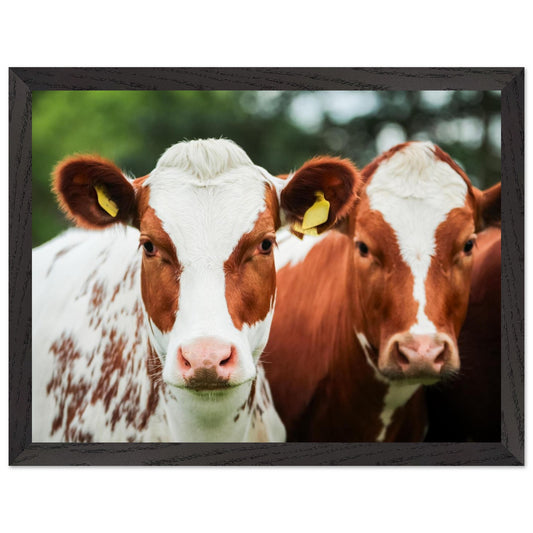 8dd9fbc8-27fb-4a8c-807d-c0d99b6525f2