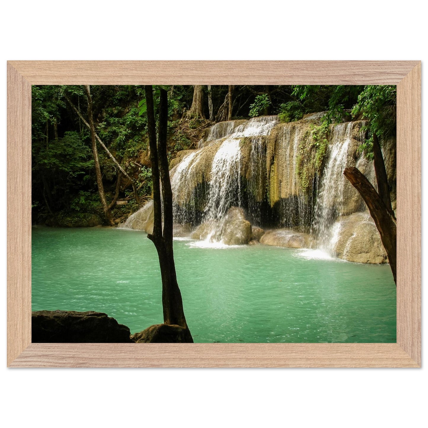 9321c701-5263-4491-a29c-ccc02d829839