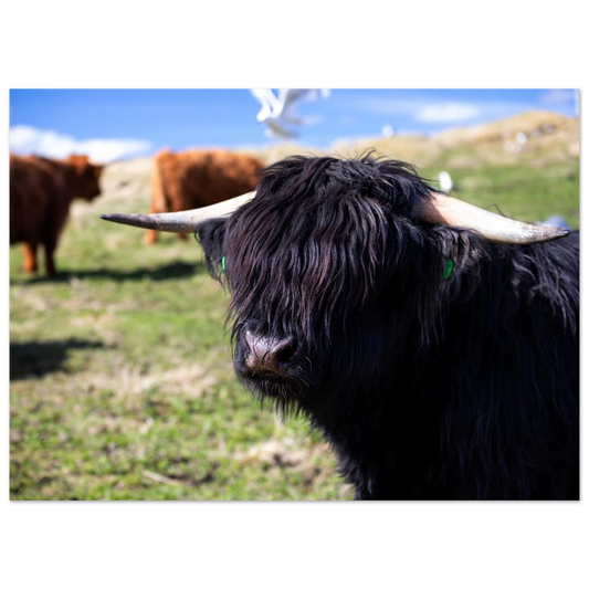 935d7aa0-7758-4825-bd1e-8b35567c3e1f