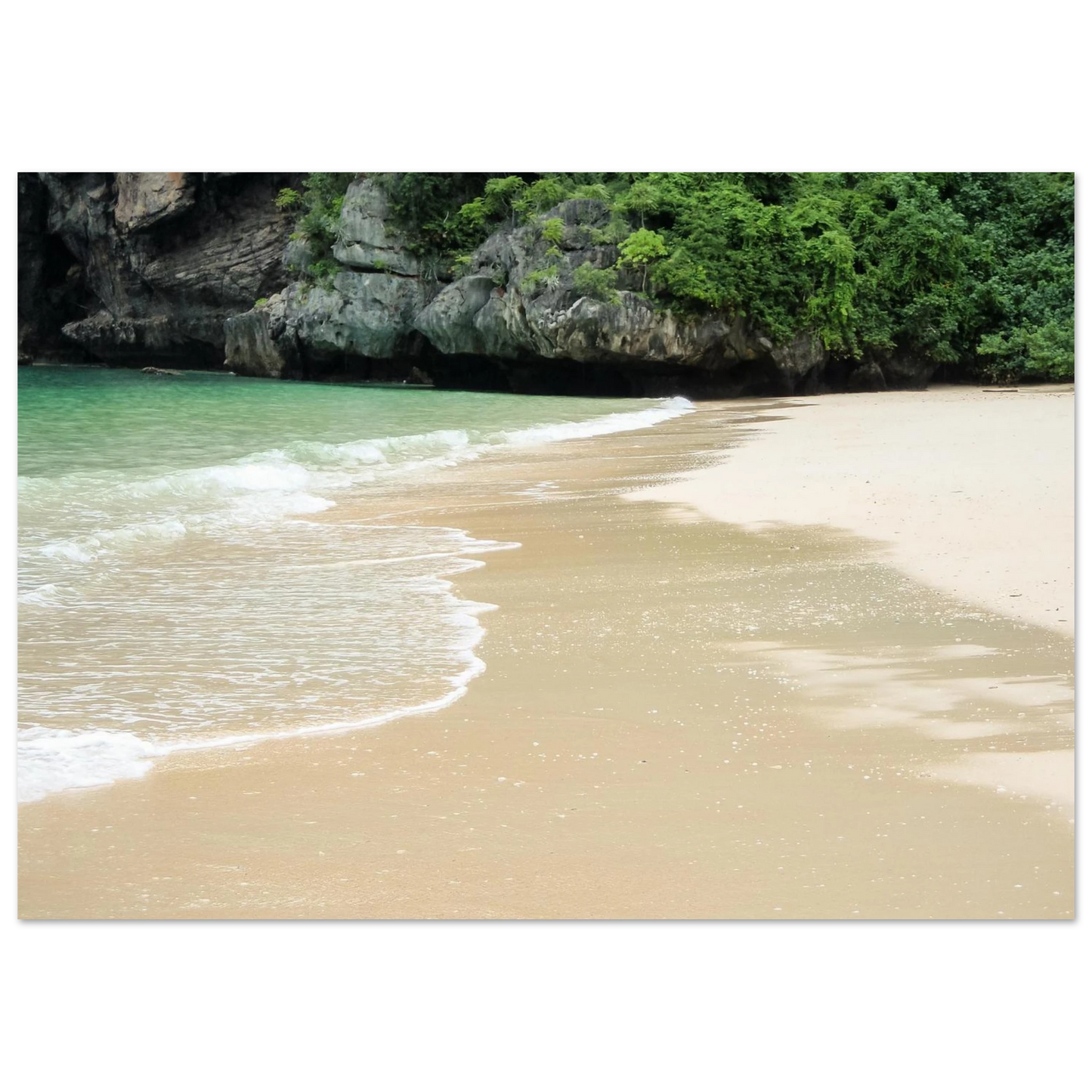 954ea0ac-88ea-4be4-96e1-9ee311ed1176