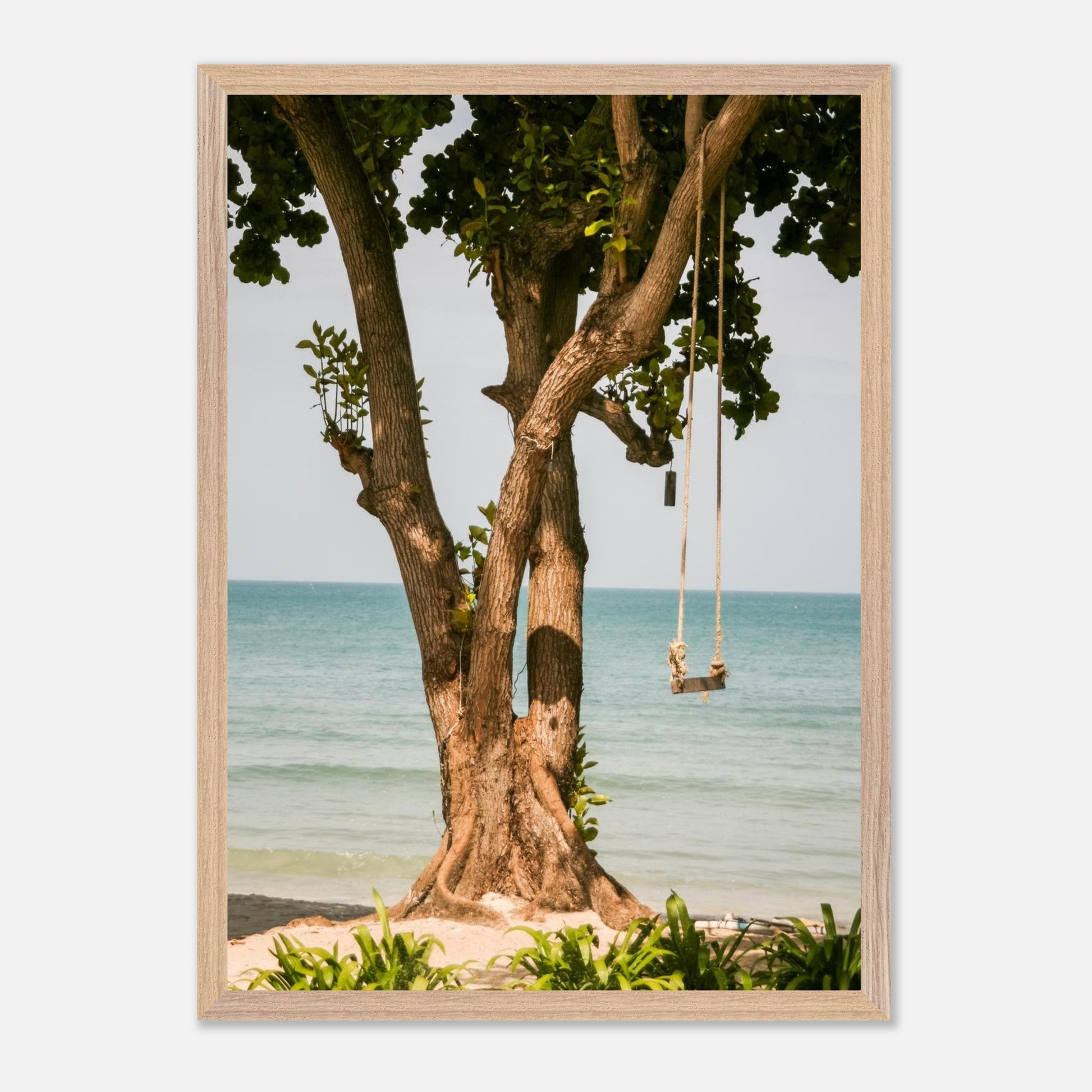 95bb88bf-210d-4d06-894c-69b3829e9b7c