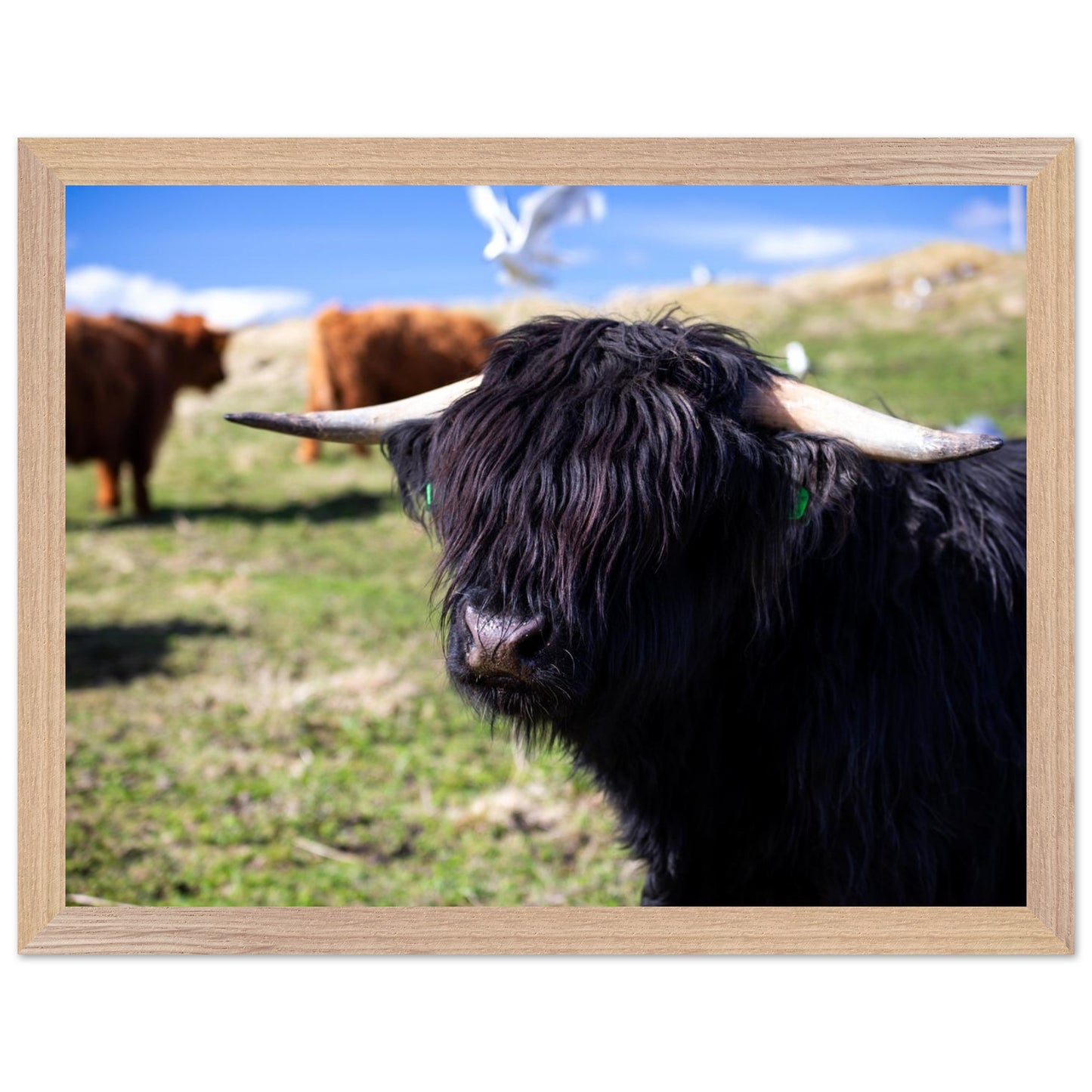 987487b9-2121-4c5c-9d2b-33045323fb4f