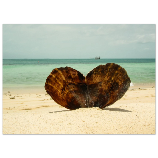 98792980-c2f9-4a17-85f5-a03f67d9e39c