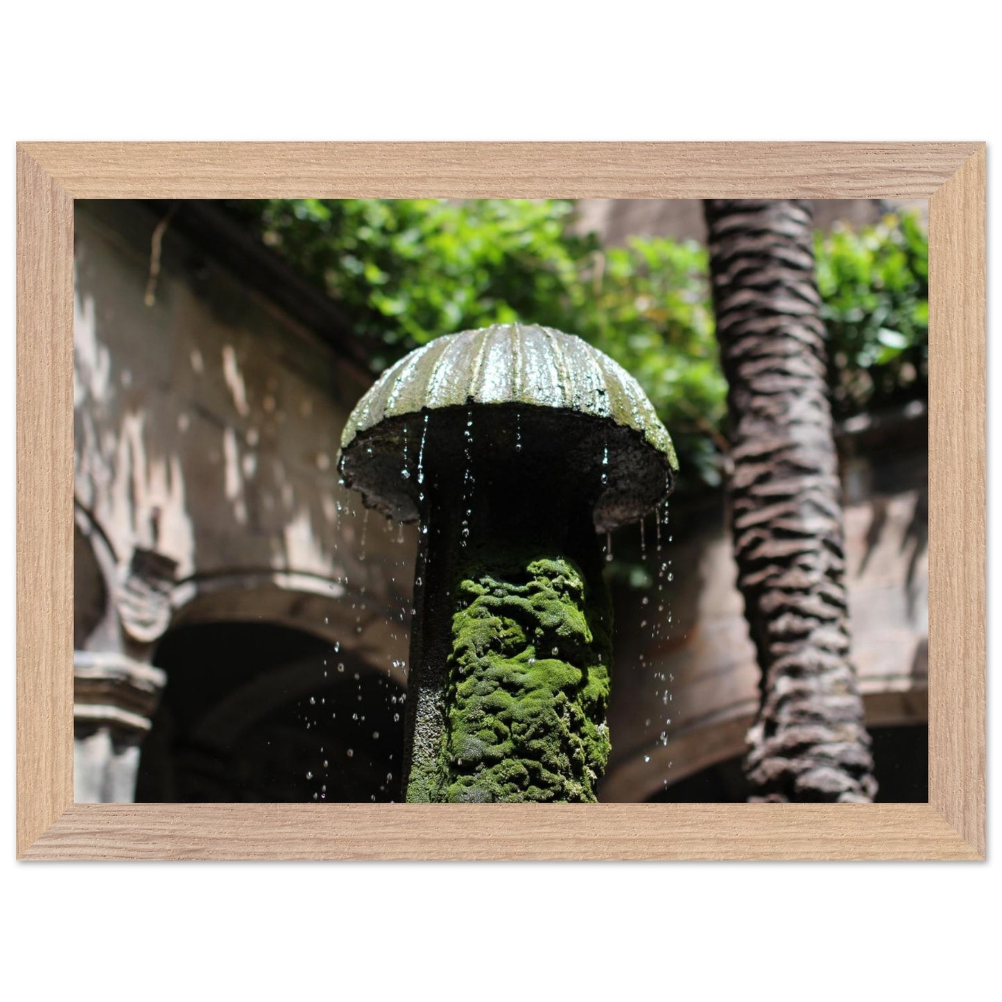 9a7d68c5-6d24-439c-b255-25b187d93bd2