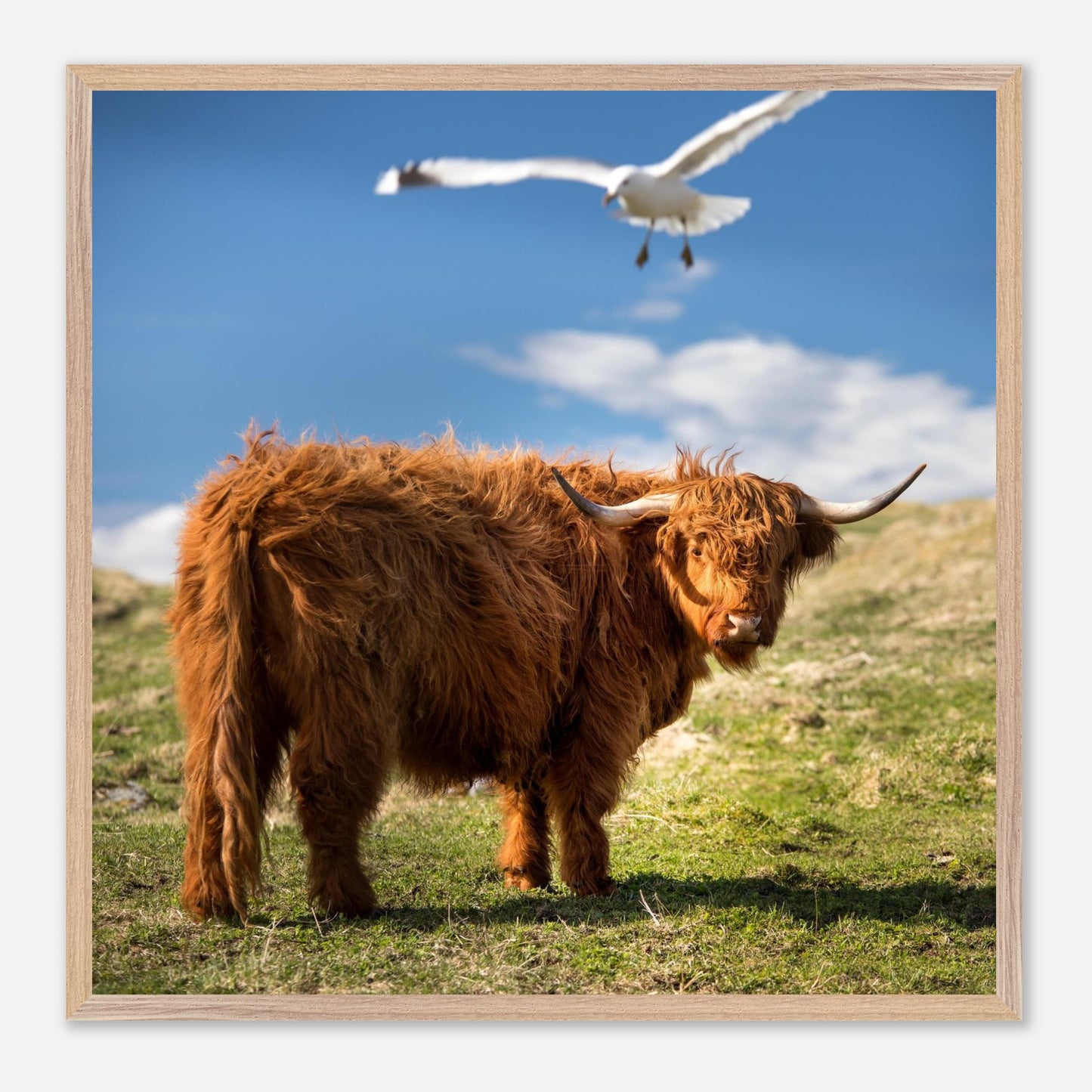 9bcc598f-afff-4cb5-baf5-edebfd8973ff