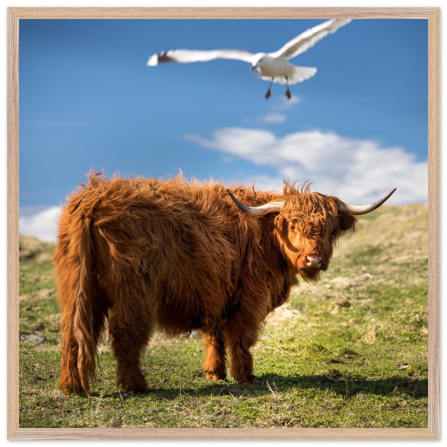 9e489971-3181-478f-bad9-239e8556d927