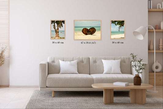 Strandliv // PAKKEPRIS - spar 598 NOK