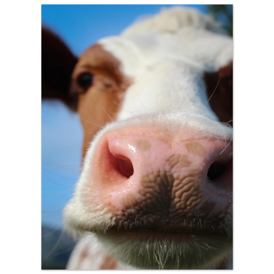 a04db765-b3cc-43eb-bac2-4fe4ea812606