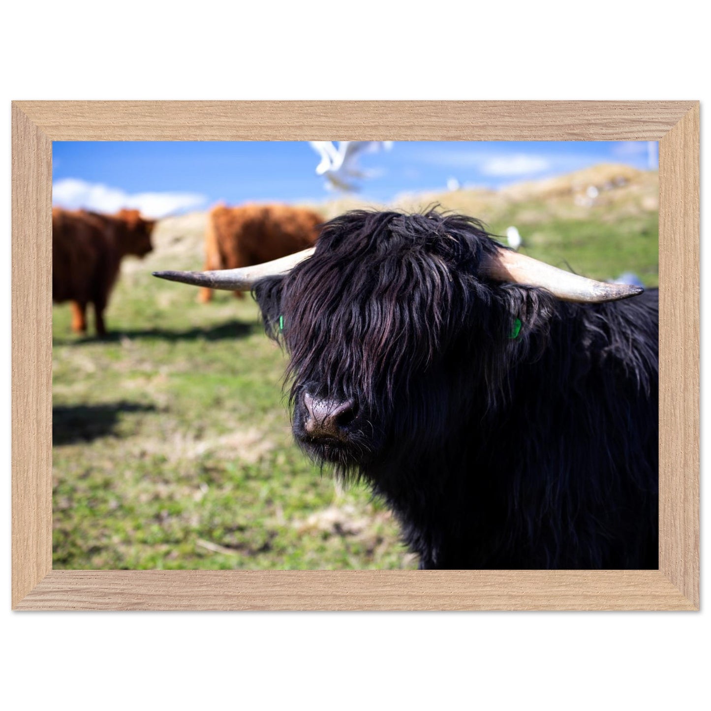 a4497ee6-9763-4508-bda1-f836078a5b85