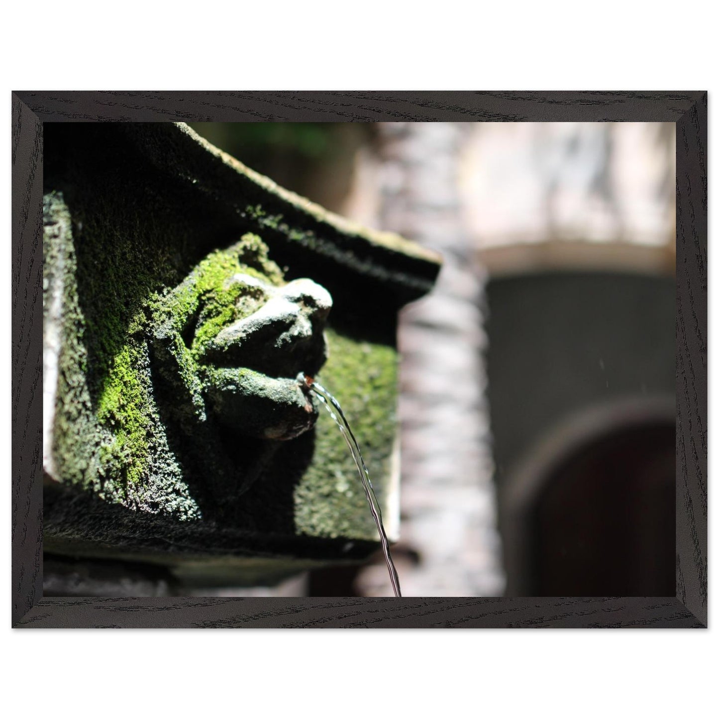 a5047fc0-39ee-4c8f-91bc-2a5639adc8ad