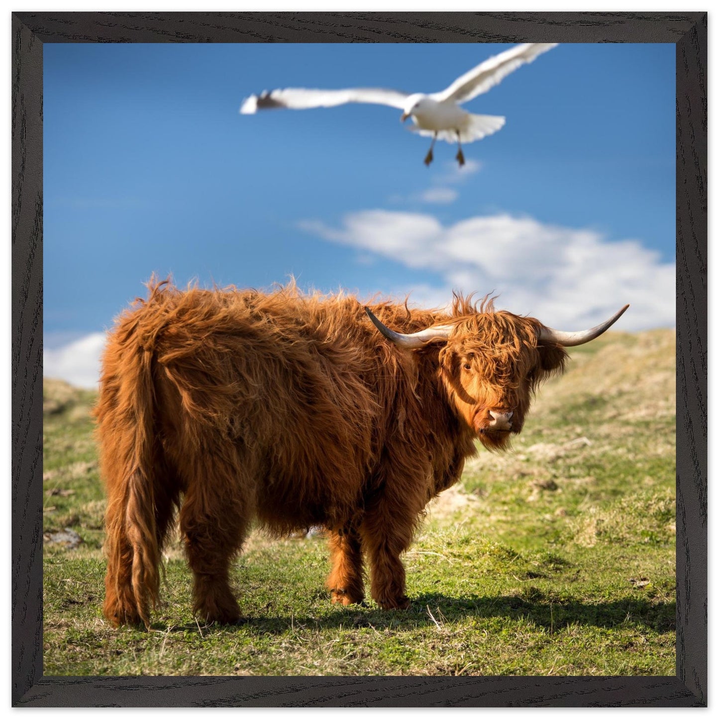 a6a67d2b-b793-4172-a953-e439b2fe9bf6