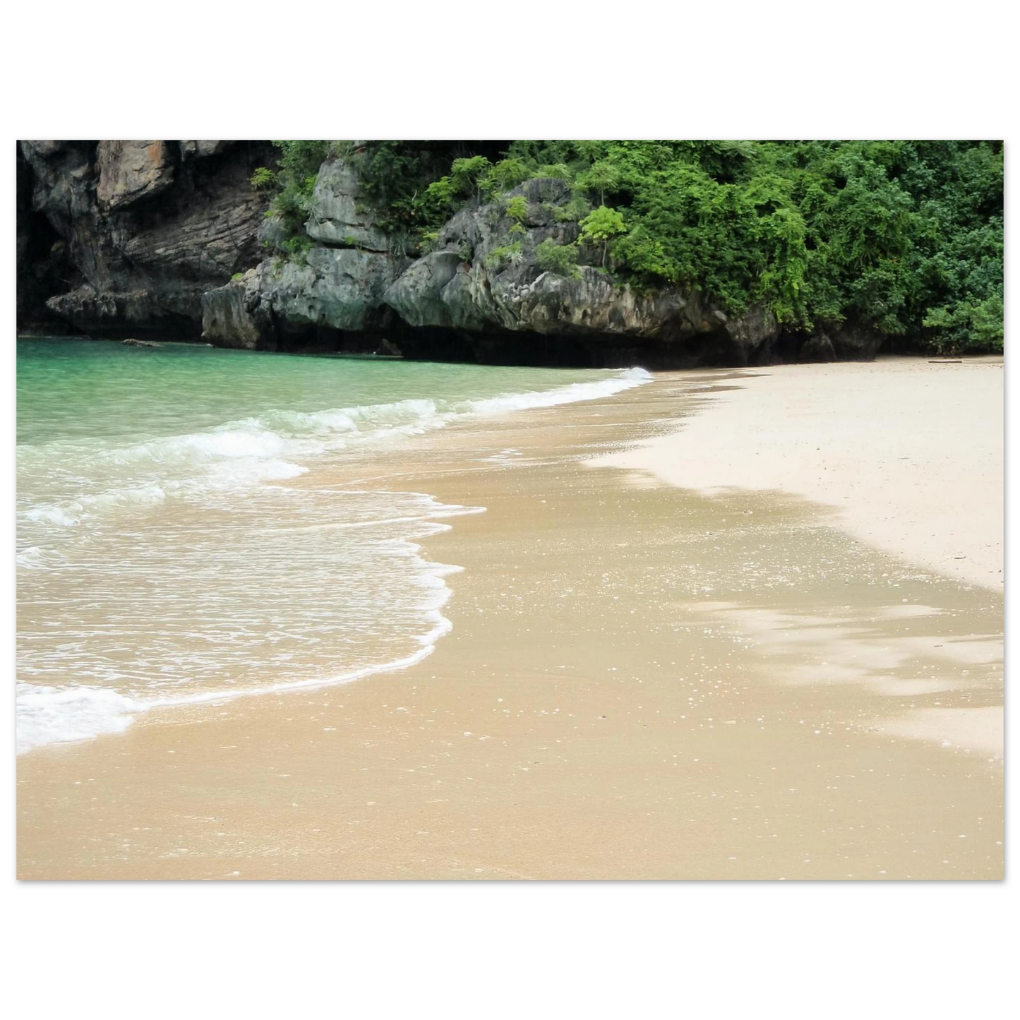 adf3db48-61f0-4973-b7e7-53b0330fb0c1