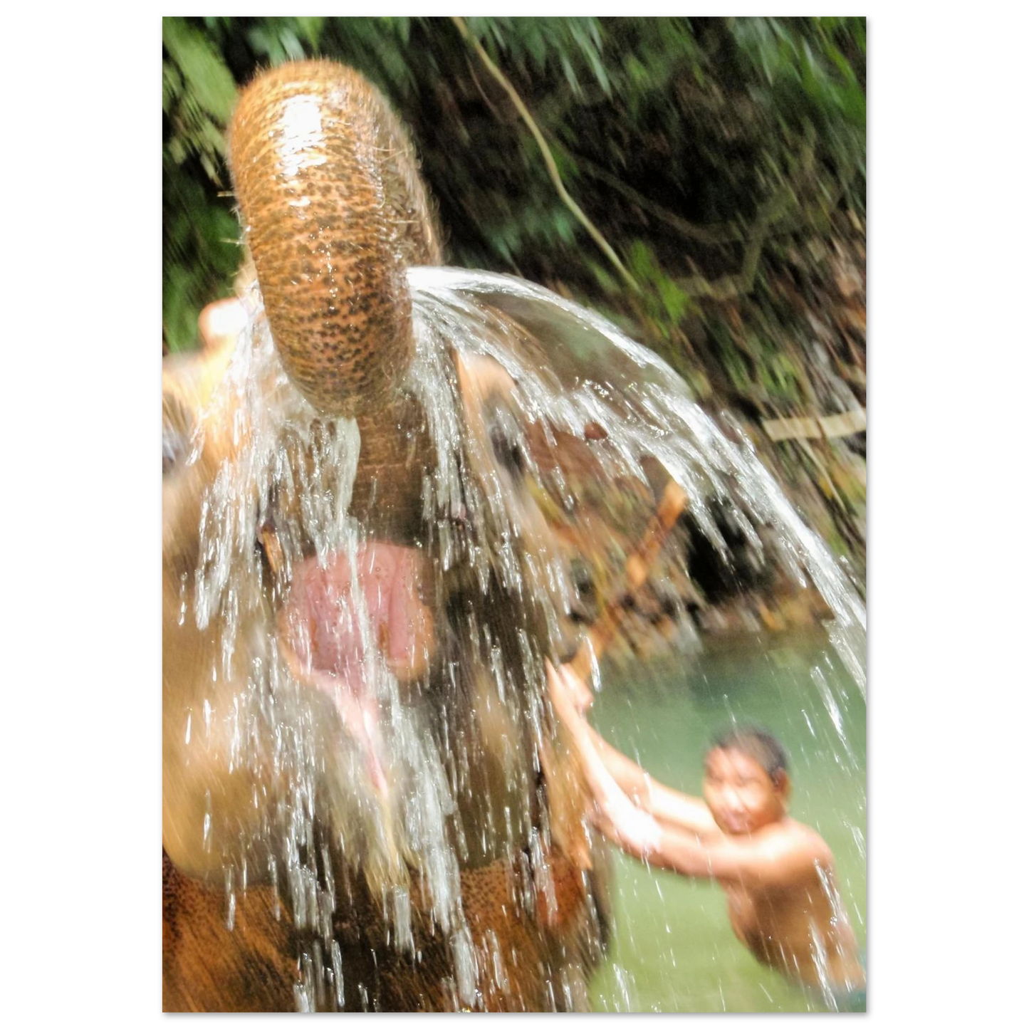 b131467b-4944-4e91-a883-3e320e006b14