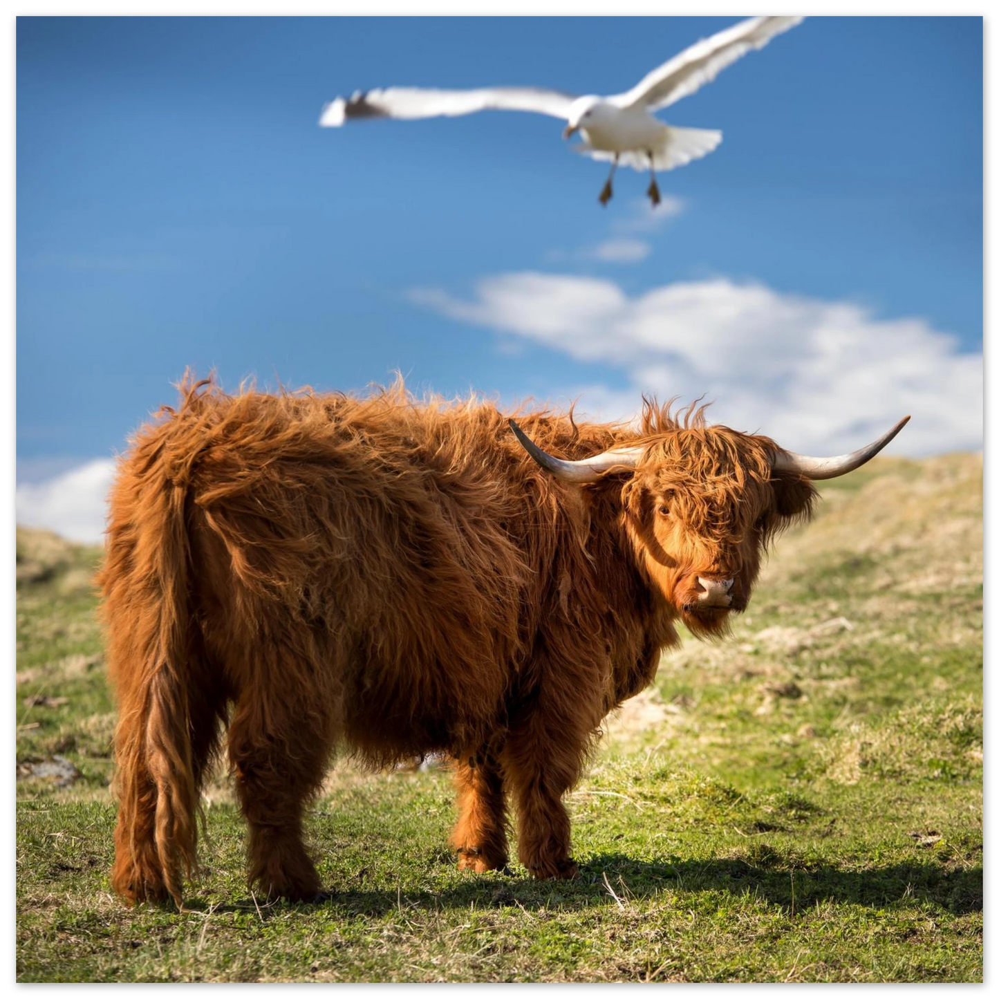 b764e9a3-da8f-4709-9ebb-d6f4b81a1ce9