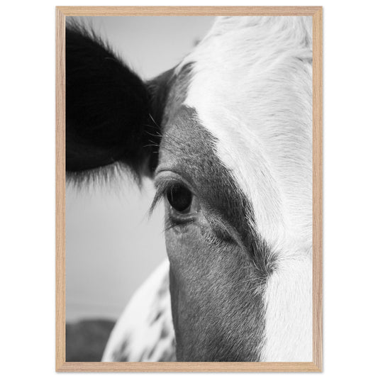 b7ff8b04-3d72-4102-bc28-f4433ebdd566