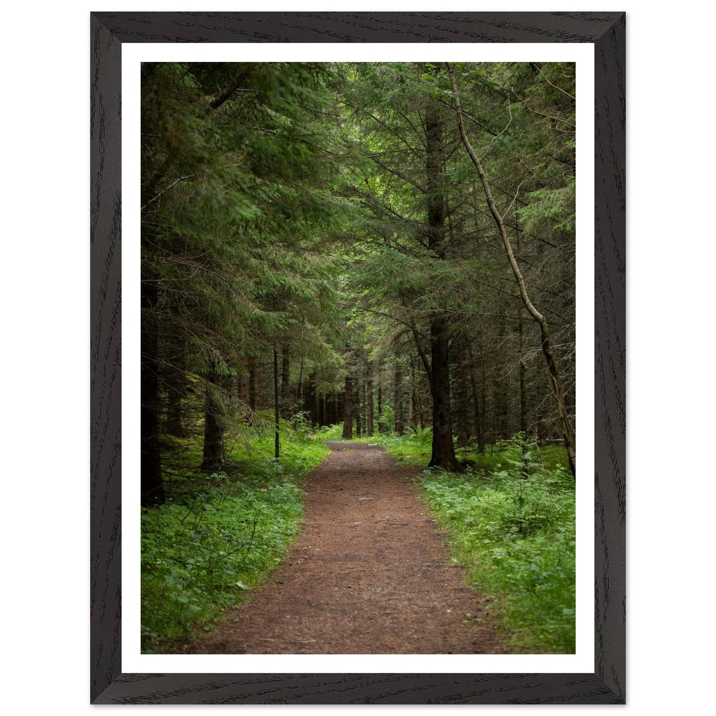 b8362870-4c3a-49d8-ba29-f0851bdab5c3