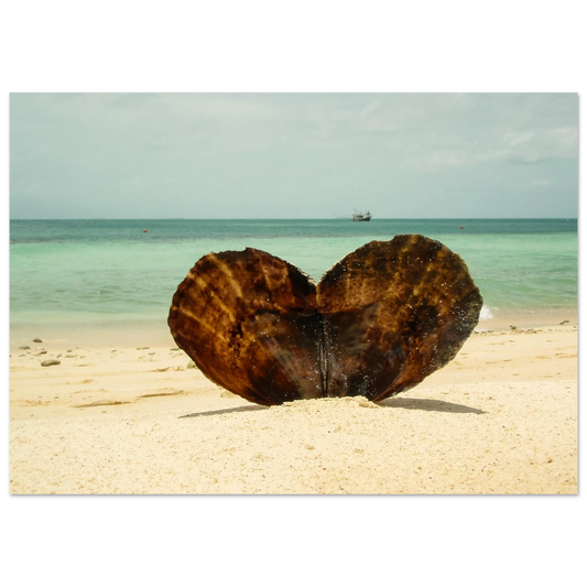 b97701b5-a689-4092-8268-0f6bb3d31a33