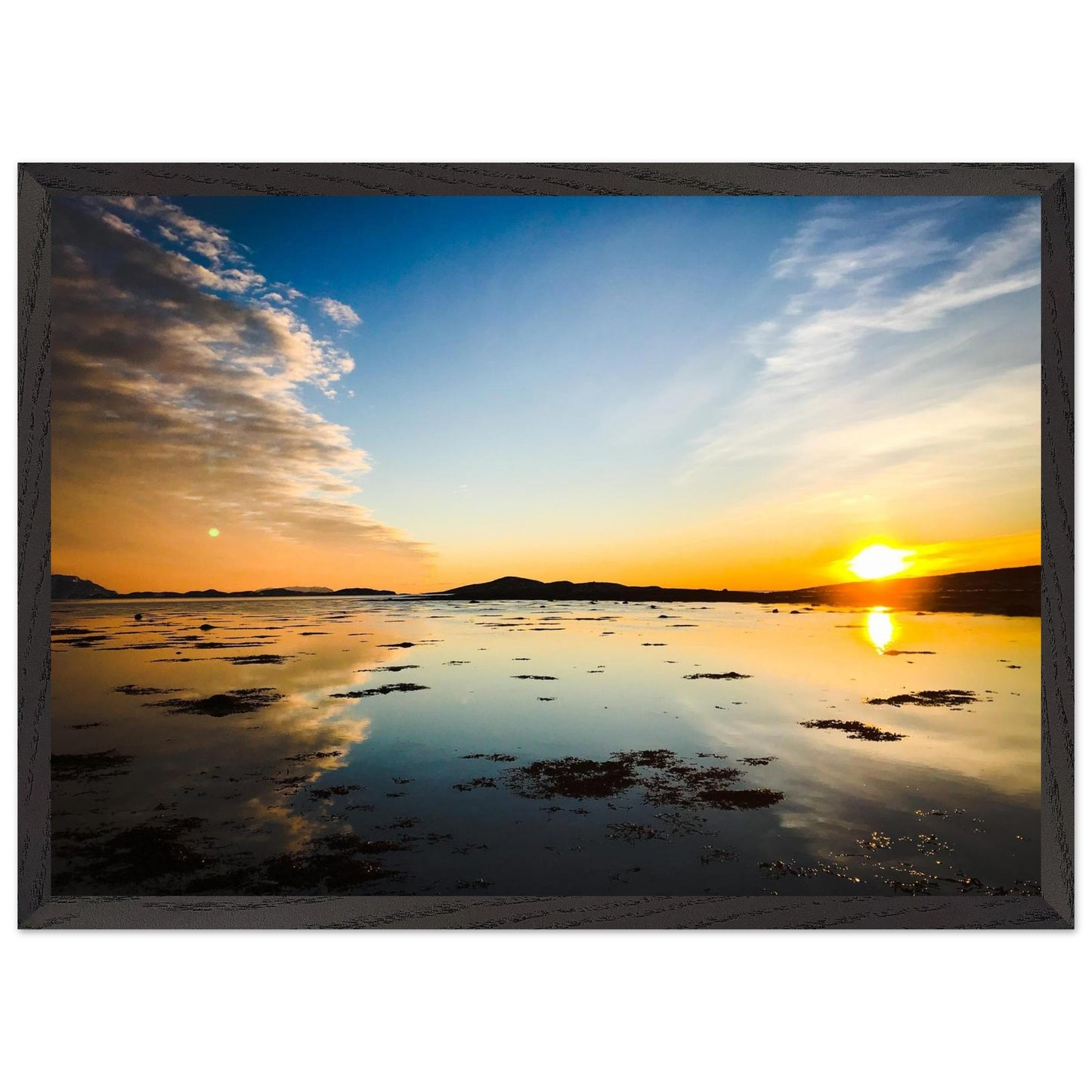 ba312fe9-d639-44c6-97d8-968599038315