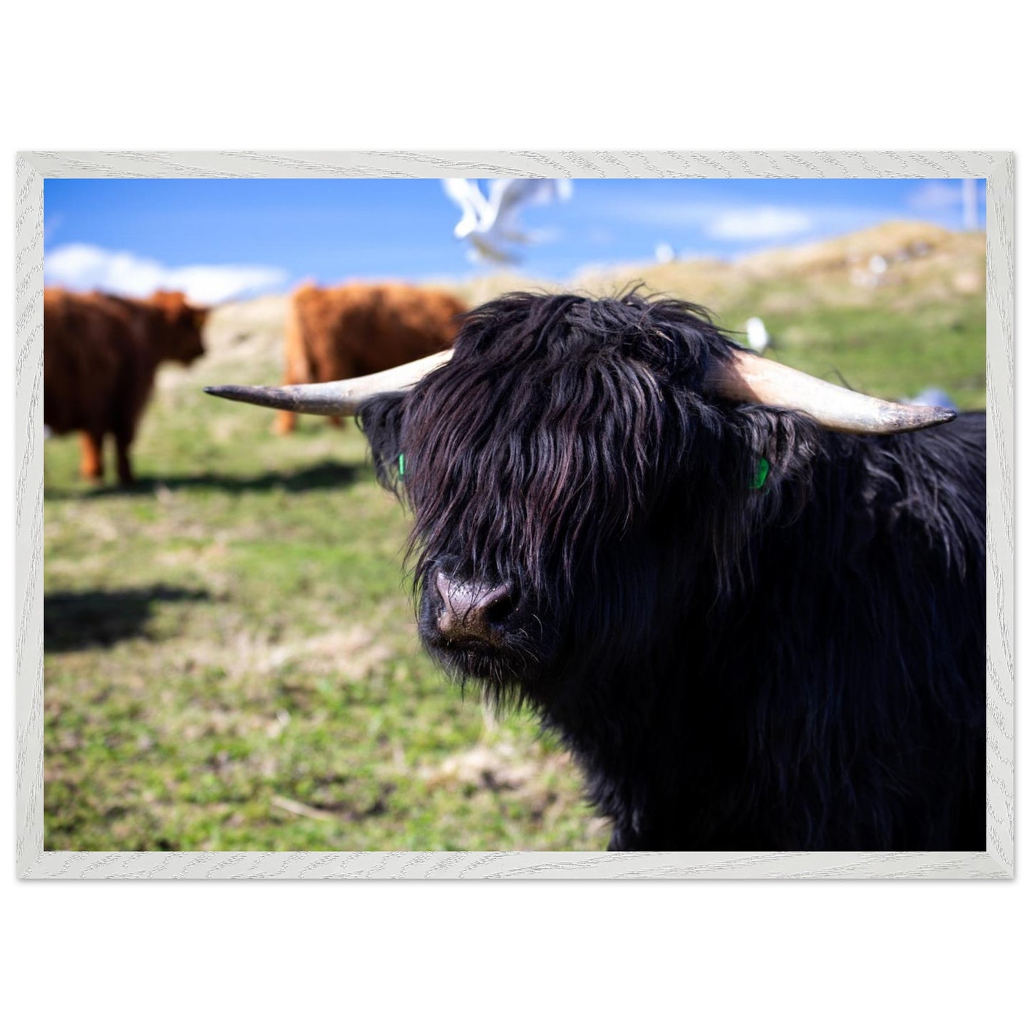 bb0ed1c1-5bf5-4c78-ac27-41fe058a86af