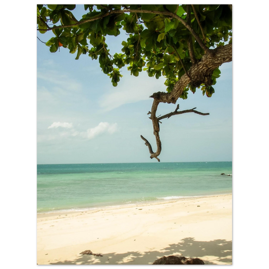 bc3c18e1-6c01-4d14-8b2c-6c35b44e4079