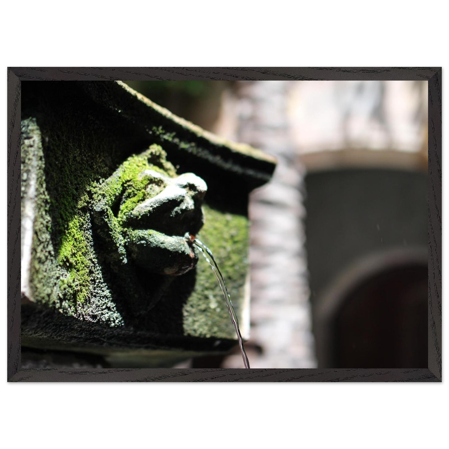 bd387d95-4e6e-4e2c-b22e-8853386ec246