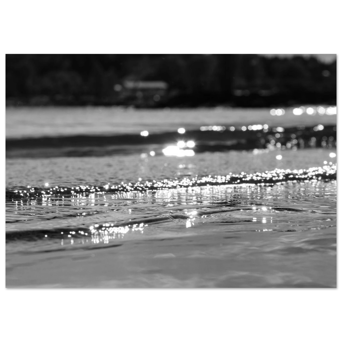 bd557f54-1828-4961-9039-3d964d16308f