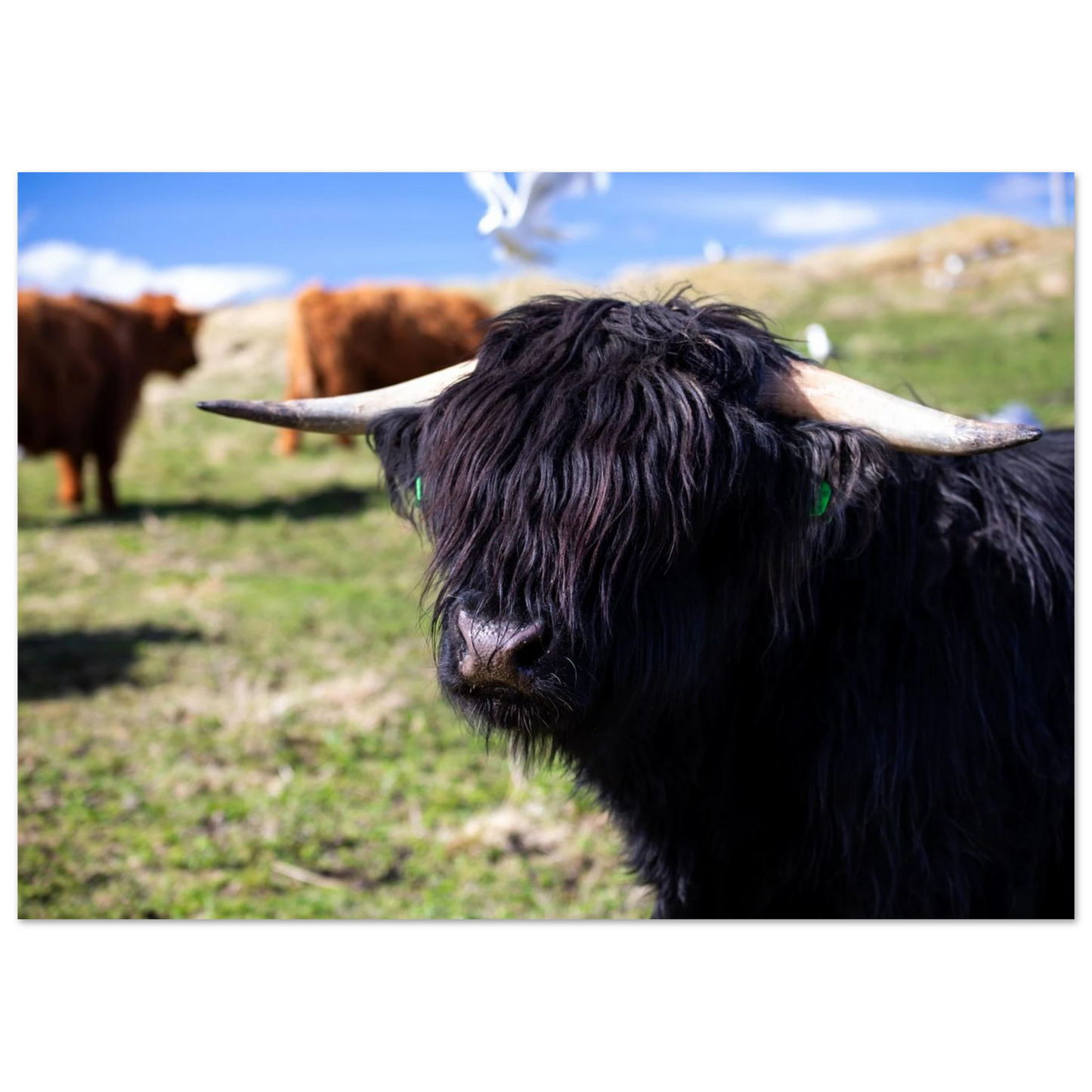 c0d42b75-fb30-45ea-807f-a0d4a6fb21f9