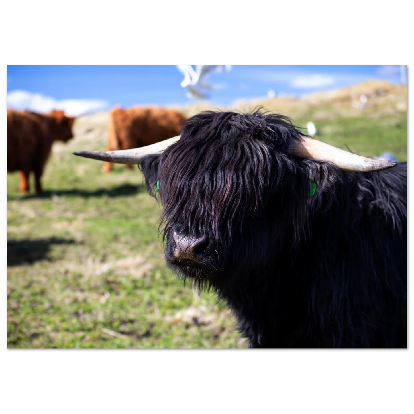 c3022ef6-30c5-427a-b879-cfd2a8fedcf5