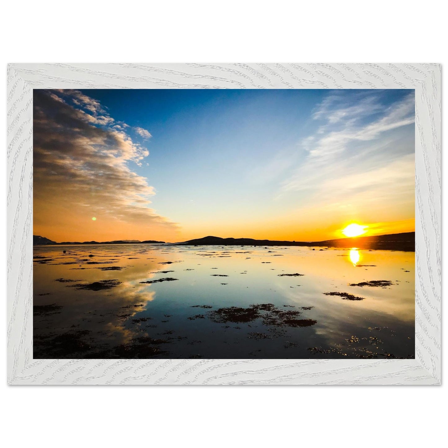 c558b0d6-a96e-4133-8a75-39f2d9610094