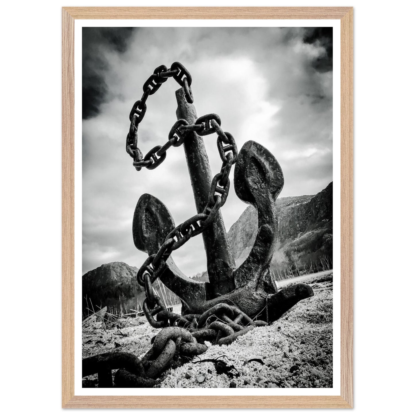 c56572f1-7616-42c1-8753-462724fec007