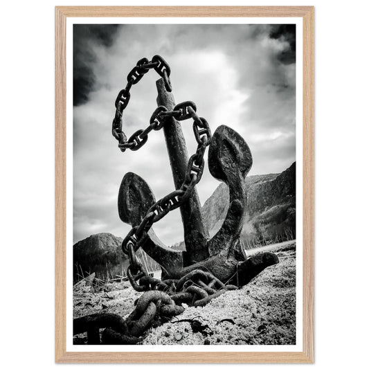 c56572f1-7616-42c1-8753-462724fec007