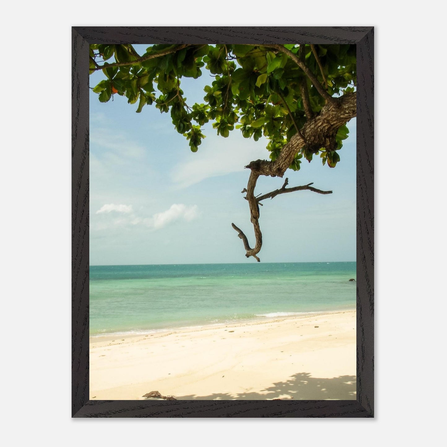 c744bf9d-3ce8-4163-ad7a-56c44c3bb390