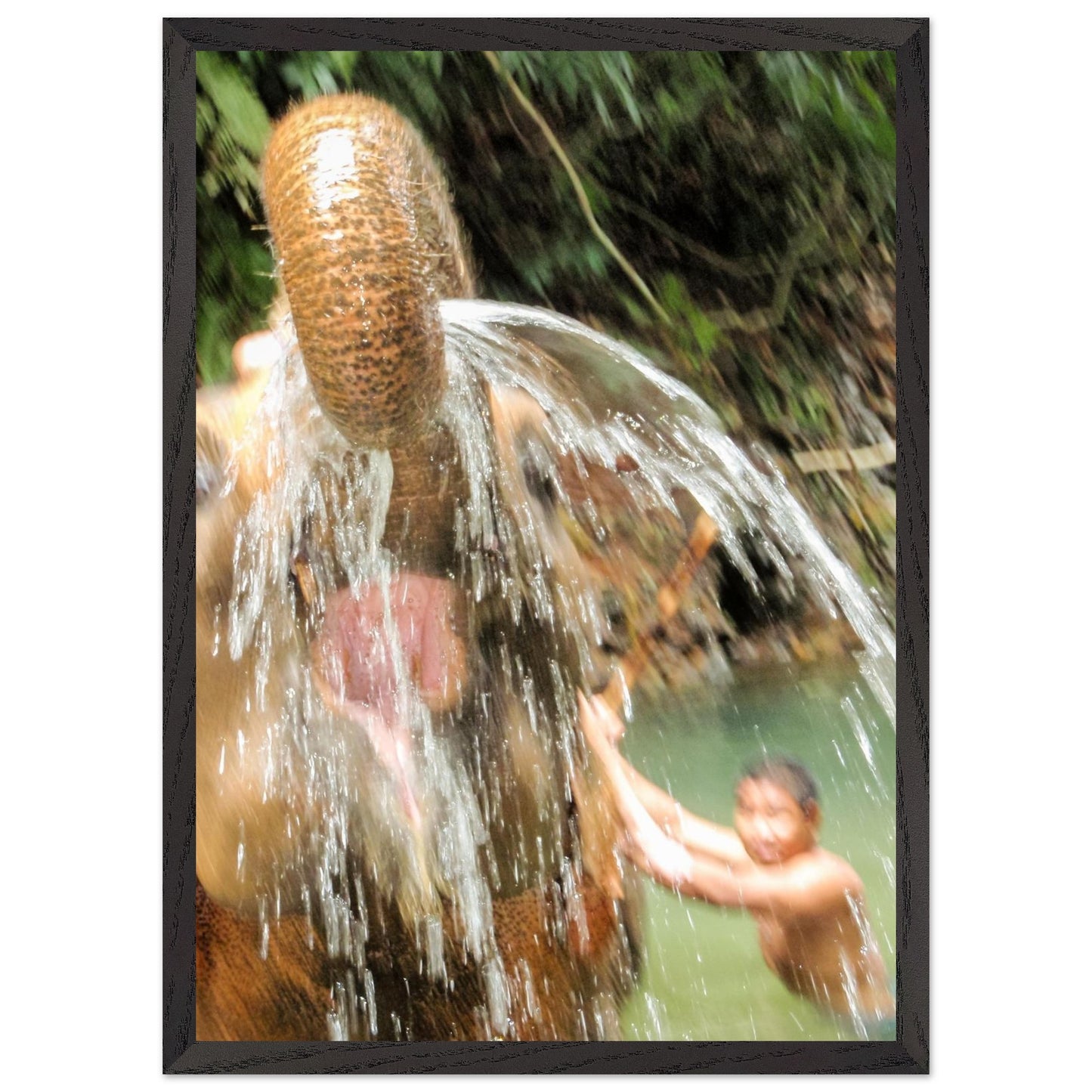 cb02b2a4-df25-4ae2-b746-d69e074624d6