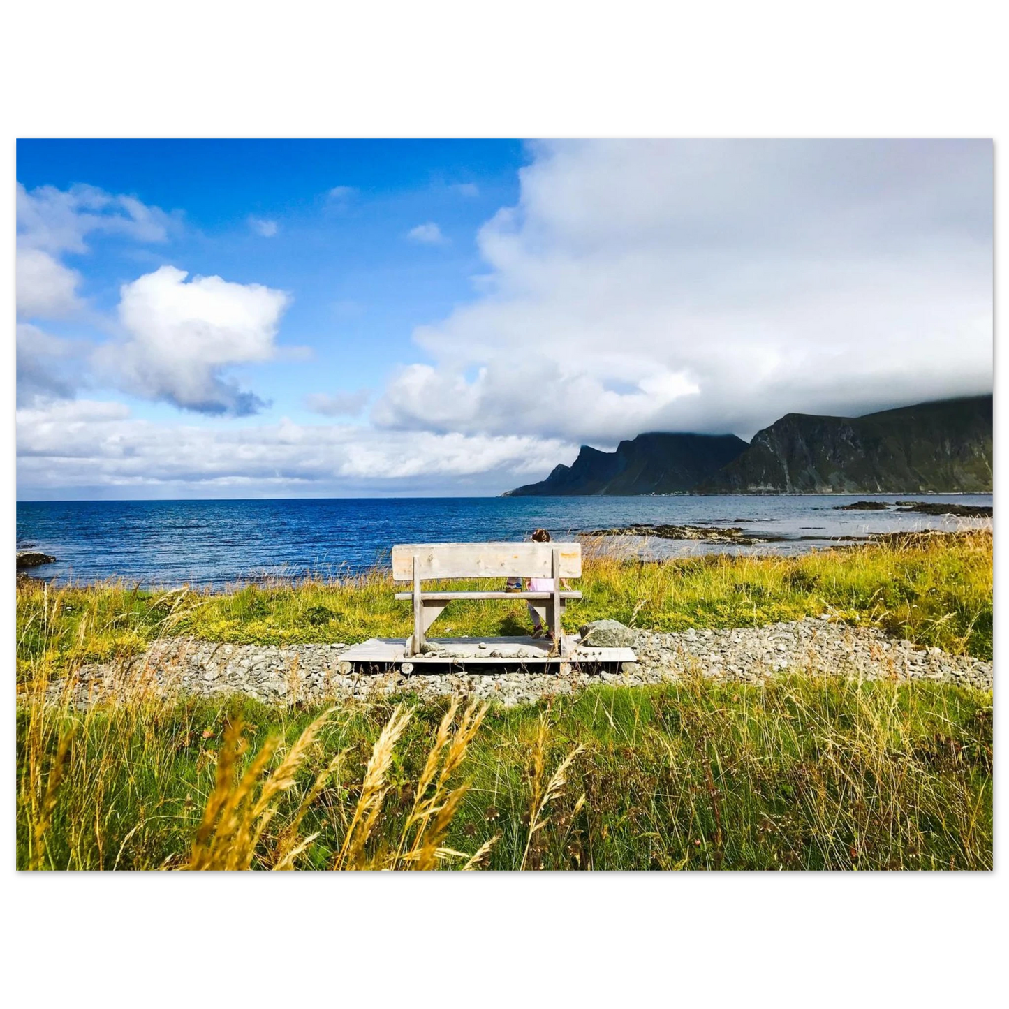 d0334c55-40f6-40b4-8966-7a87c75acbbe