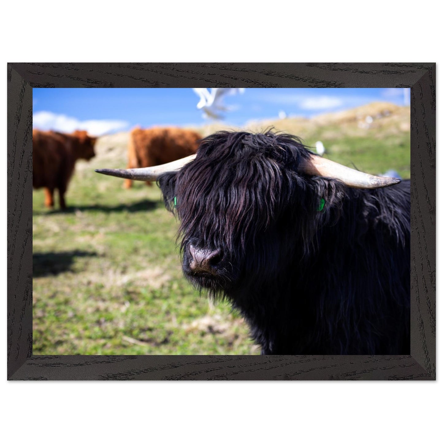 d0b192d2-46d1-4a24-bdde-5dc8a0fae2ac