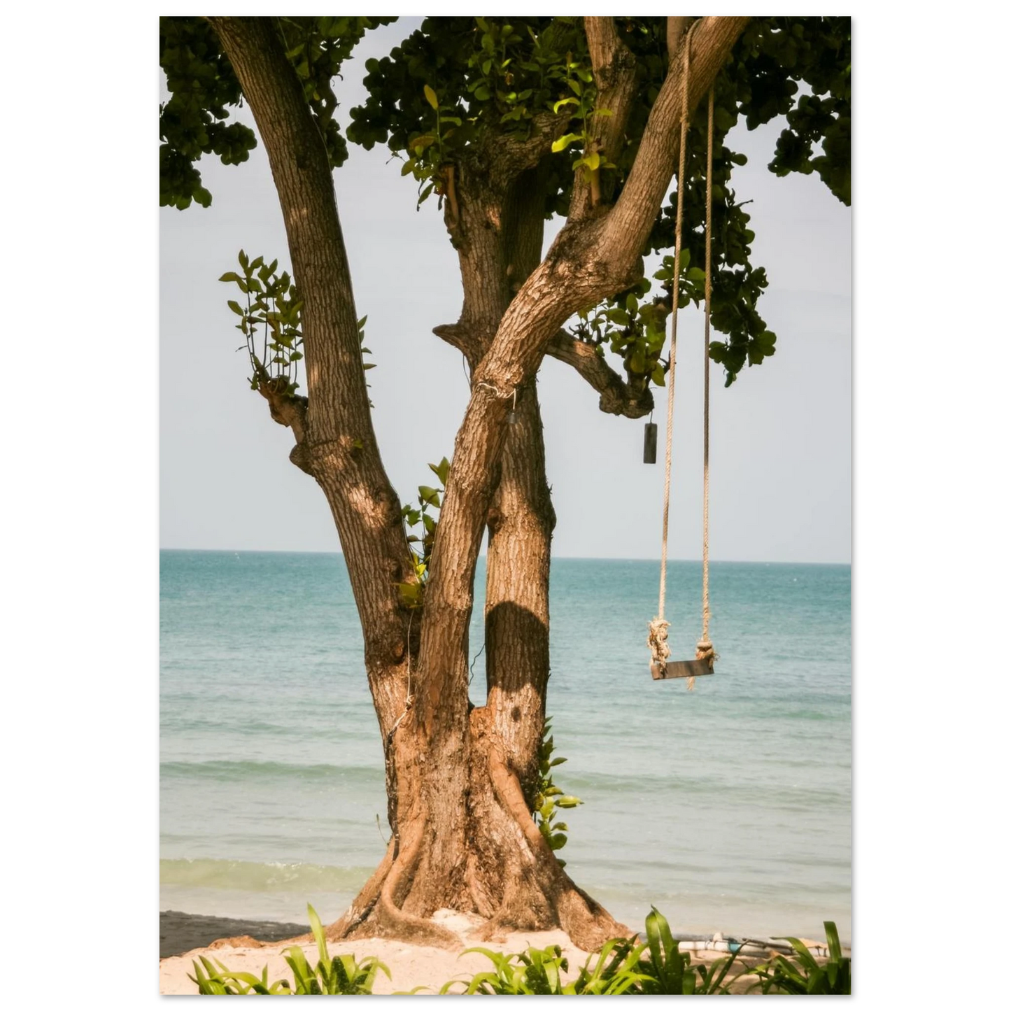 d0c4981d-3ca5-4315-be53-7f9cd4113c35