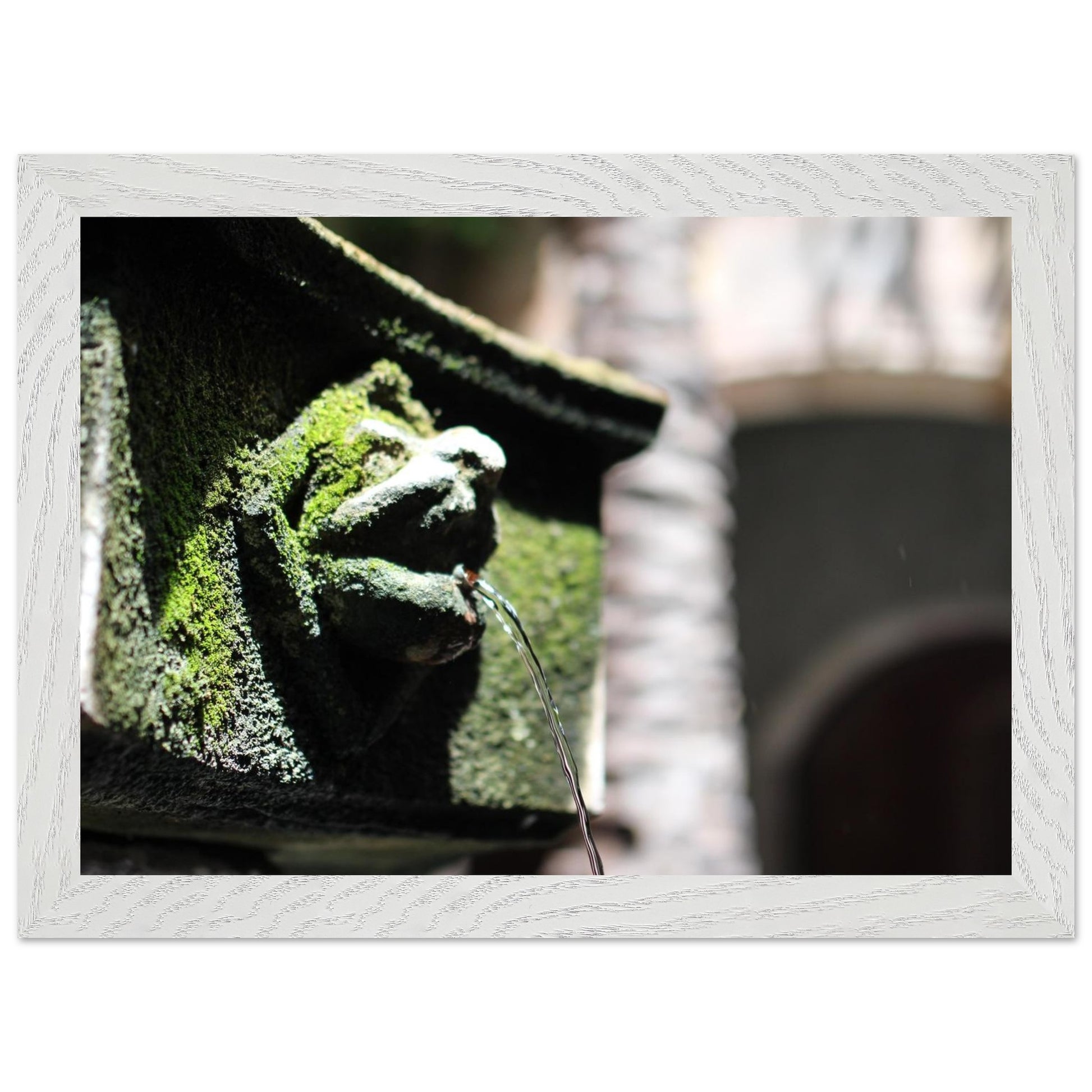 d2b99759-52b3-49bb-9233-0fd30bf228ba