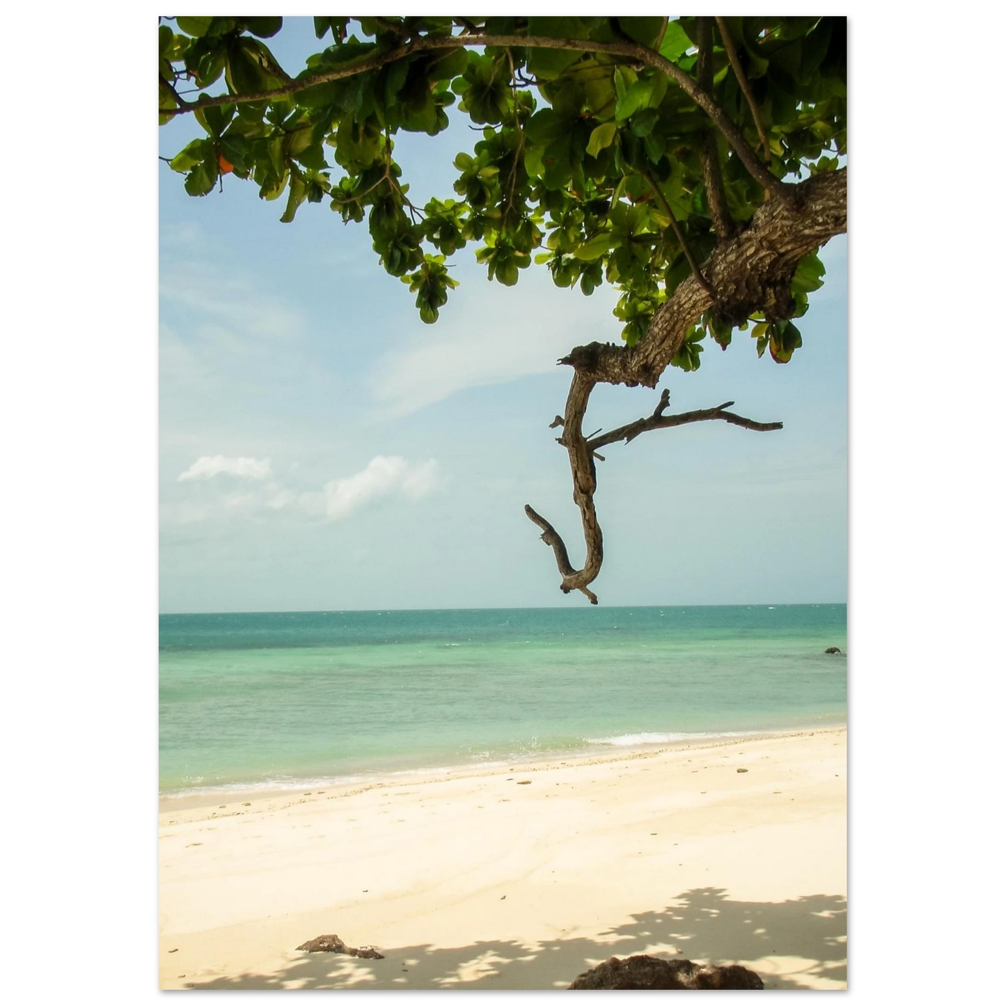 d54bda8a-dbf5-4c71-af55-9fe4d7b8bf7f