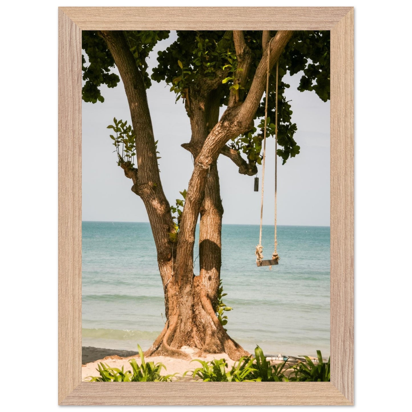 d6b7b79f-b980-405c-b7e2-7117412efe58