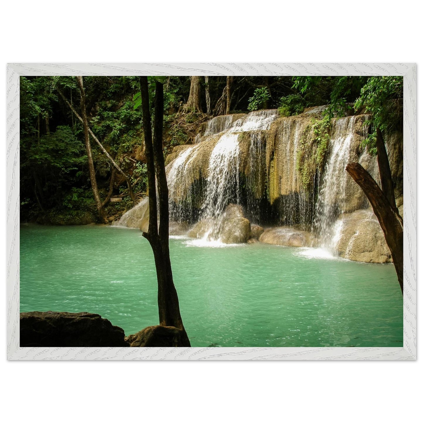 d89defa0-9b3c-46c7-bdc6-2c4c198e9e59