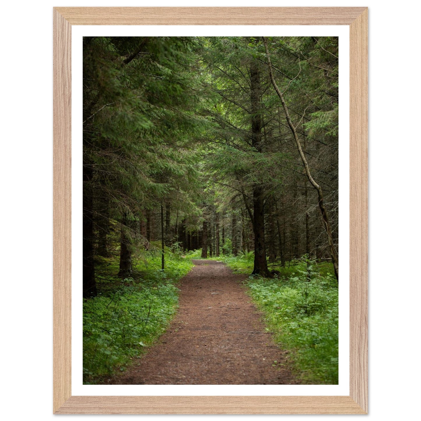 df5b3164-1ddc-4204-a53c-a4509afd0f2a