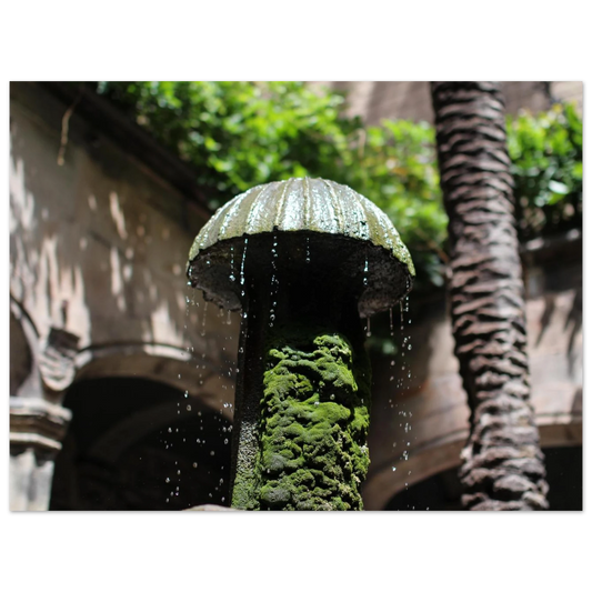 e09fe574-a52b-4536-9e7f-3a2f3414bcfb