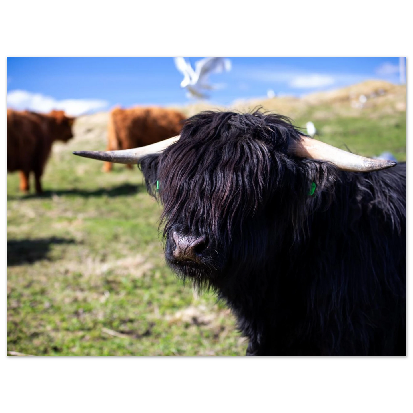 e4142ded-0433-4ad0-b3bb-36f0732d6225